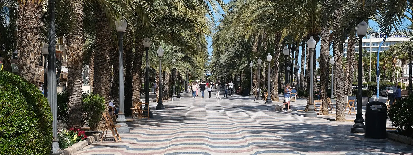 Vista de Alicante