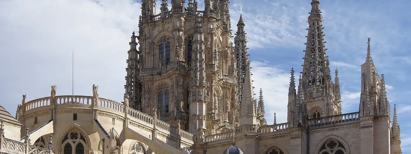 Vista de Burgos